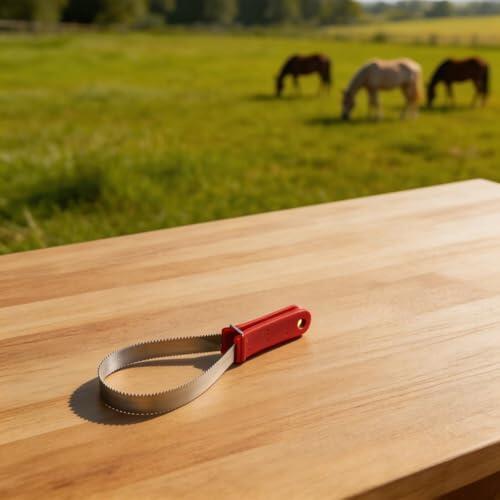 Helilyco Rascador de sudor de caballo de acero inoxidable para alivio de desprendimiento y picazón, aseo ergonómico con agarre cómodo, 30 x 9,2 cm, color rojo