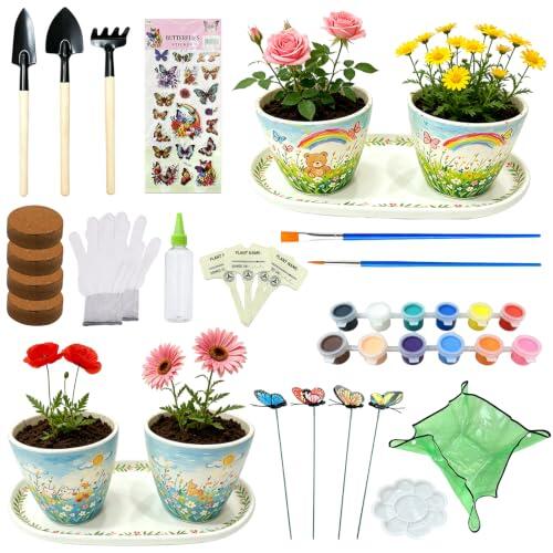 Descubre el placer de crear: Todo sobre el kit de pintura y plantación para macetas HOSSOM