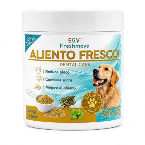 Cómo Mejorar la Salud Bucal de tu Perro sin Cepillado Diario