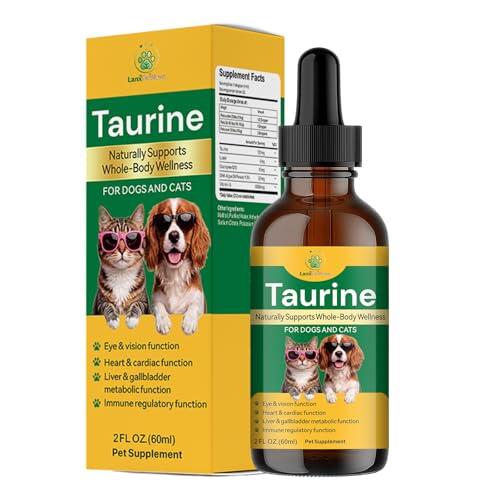 La guía definitiva sobre la taurina en gotas para la salud integral de perros y gatos
