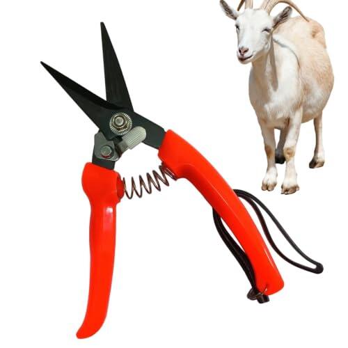 ZOJPNJSM Cortapezuñas ovinas - Cortadores De Precisión De Acero Inoxidable Con Resorte,Cizallas de Pezuñas para Ovino,Recorte, Cuidado, Manicura, Pulido, Herraje, Alpacas, Equinos, Bovinos, Bueyes y