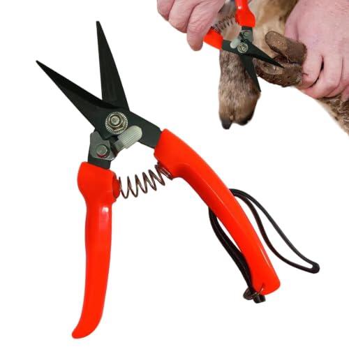 Cortapezuñas Para Cabras - Tijeras Ergonómicas con Resorte,Recortadora de Pezuñas Caprinas | Recorte, Cuidado, Manicura, Pulido, Herraje, Alpacas, Equinos, Bovinos, Bueyes y