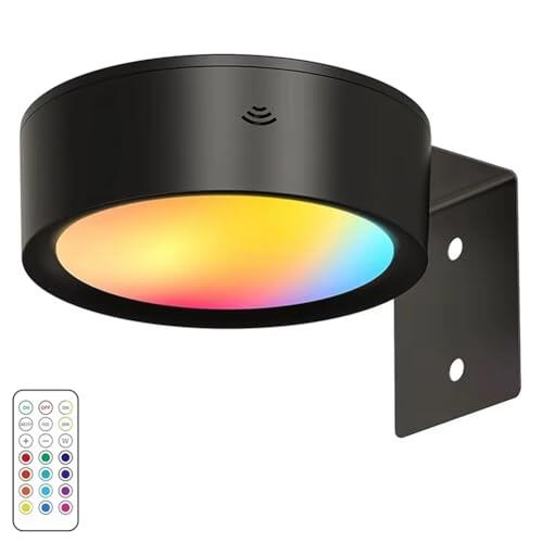 Kueohse LáMpara LED para Cuadros, Luz de ExhibicióN ArtíStica, Funciona con Pilas, Regulable, para Cuadros, 13 Modos de IluminacióN, Color Negro.