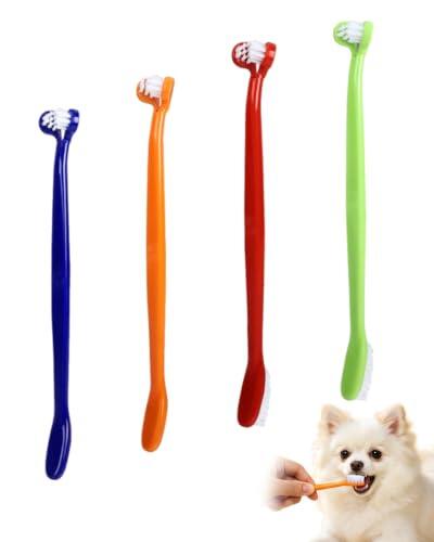Guía Completa para la Higiene Bucal de Mascotas: El Pack de Cepillos de Dientes QEQSHQO