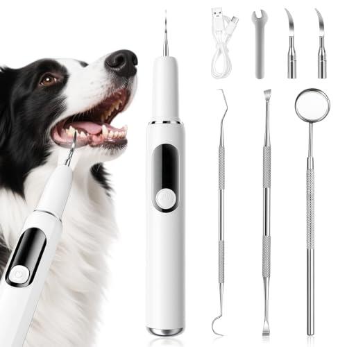 Sonrisa Canina Saludable: Todo Sobre el Cepillo Dental Ultrasónico AMFUN