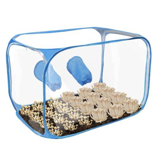 Guía Completa para el Cultivo en Interiores: Todo sobre la Tienda Plegable para Setas