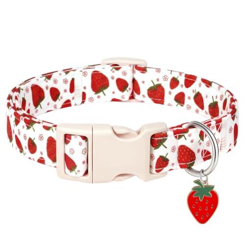 Moda y Seguridad para tu Mascota: Análisis del Collar AYESY con Estampado de Fresas