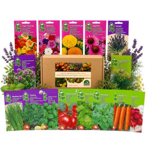 Cultiva tu propio oasis verde con la Colección Alemana de Semillas Nojus