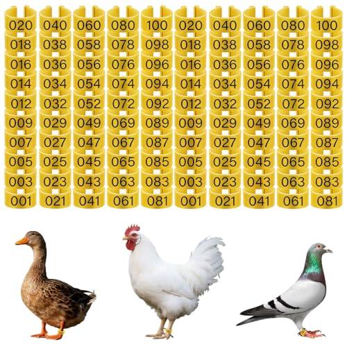 Guía completa sobre anillos de identificación para aves: Características y usos de las bandas plásticas de 16mm