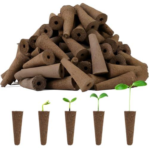 Guía Definitiva para el Éxito en la Hidroponía de Interior: El Papel Crucial de las Esponjas de Germinación