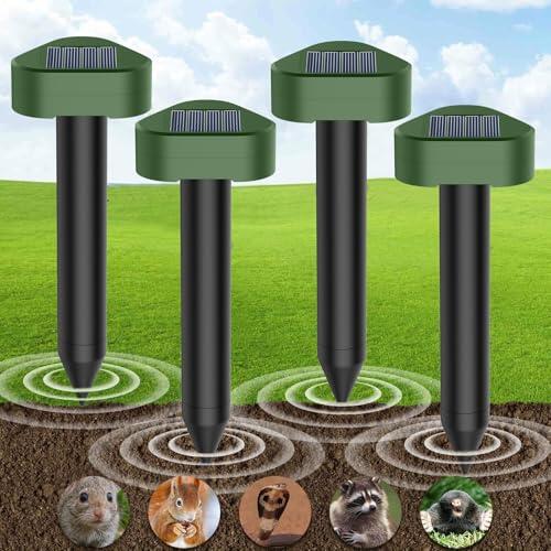 Cómo proteger tu jardín de topos y roedores de forma ecológica y eficaz