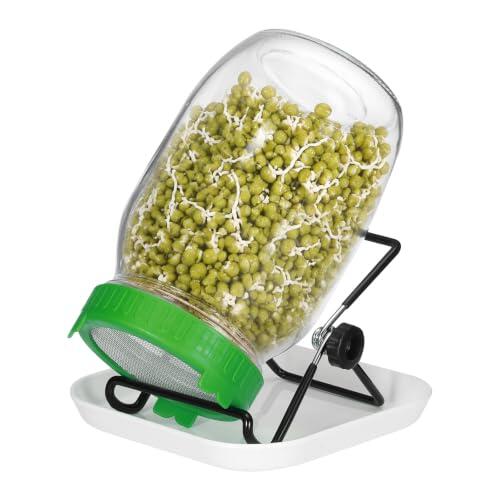Cultiva tus propios brotes frescos en casa con el kit de germinación QUARKZMAN de 1000 ml