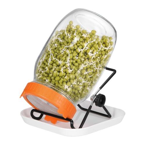 Cultiva tus propios brotes en casa con el kit de germinación QUARKZMAN