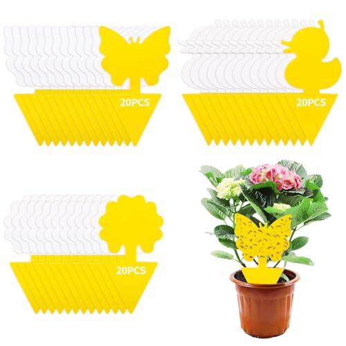 Soluciones eficaces para proteger tus plantas de interior contra las plagas