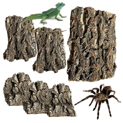 Corteza de corcho para Reptiles, tubo de corcho, 6 piezas de corteza de corcho para Terrario, corteza de árbol, corteza de roble natural, para roedores, pájaros, terrarios, ocio creativo