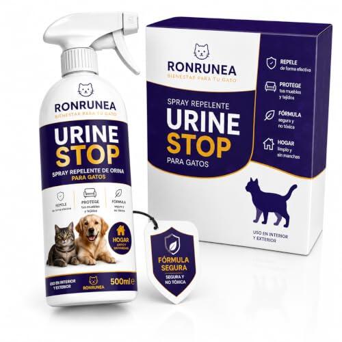 Cómo evitar que los gatos y perros orinen en zonas no deseadas de casa