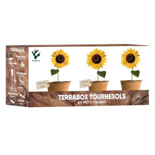 Cultiva la Naturaleza en Casa: Todo lo que Debes Saber sobre el Kit de Girasoles NOPALIA Terrabox