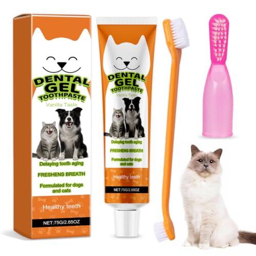 Guía Completa para la Higiene Bucal felina con el Set FOCJUK