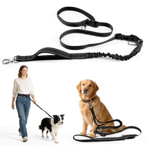 Guía definitiva para elegir una correa multifuncional de nailon negro para pasear y correr con perros