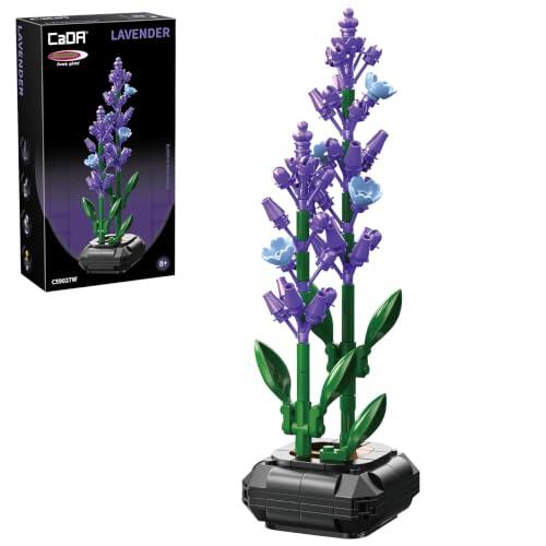 Flores que nunca se marchitan: Análisis del kit de construcción de lavanda Jamara