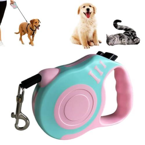 Paseos seguros y cómodos: análisis de la correa extensible de 5 metros para perros
