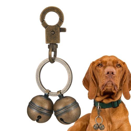 El accesorio definitivo para la seguridad de tu mascota