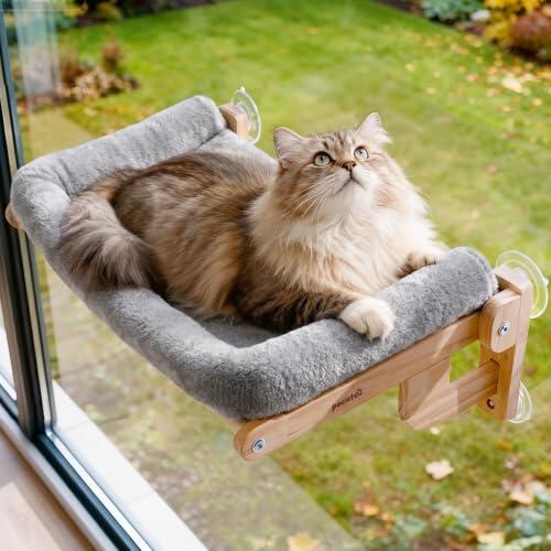 El mirador perfecto: todo sobre la hamaca de ventana para gatos Pecute