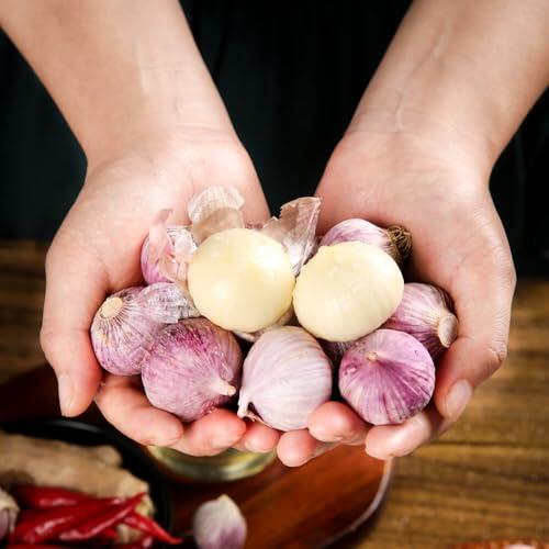 Cultiva tu propio ajo morado: Guía completa para 120 semillas de crecimiento rápido