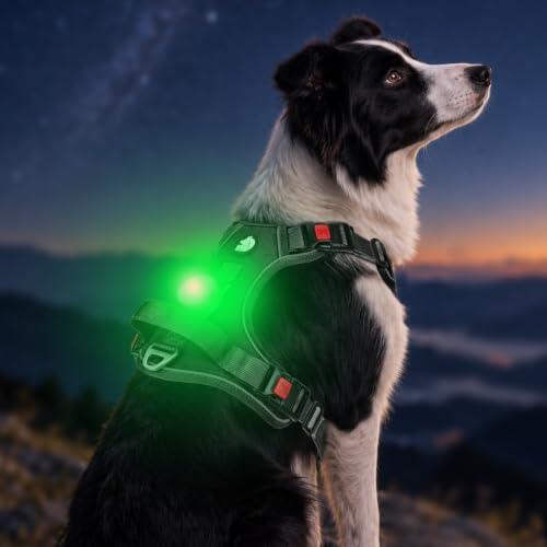 Iluminación y seguridad: Análisis del arnés LED Joytale para perros grandes