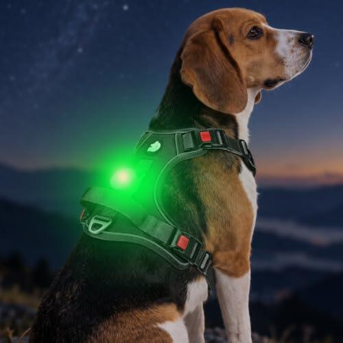 Seguridad y Control Nocturno: Análisis del Arnés LED Joytale con Soporte para AirTag