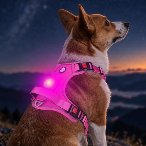 Seguridad Nocturna y Control Total para Perros Pequeños con el Arnés Joytale