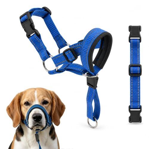 Dominando los Paseos Caninos: Análisis del Collar de Cabeza Cryptadg