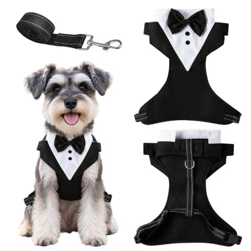 Elegancia Canina: Todo sobre el Arnés Esmoquin para Perros y Gatos