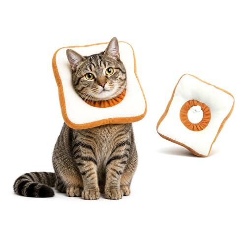 Alternativa moderna al collar isabelino tradicional para gatos