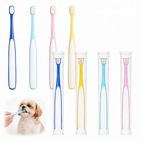 Guía completa para la higiene dental en perros pequeños y gatos con el set de 8 cepillos JYYWTSI