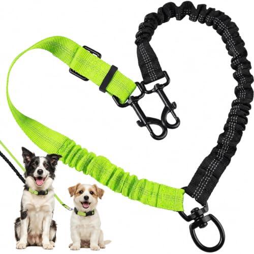 Guía definitiva para pasear a dos perros: control, seguridad y comodidad sin enredos