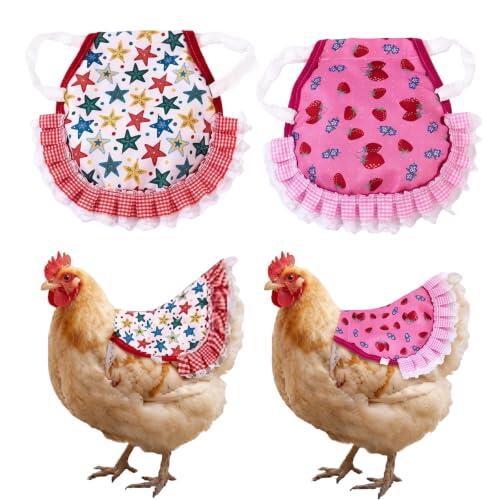 Guía completa para la protección y cuidado de la piel y plumas en aves de corral