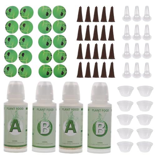 Guía Definitiva sobre el Kit de Cultivo Hidropónico MAGICLULU para Huertos en Casa
