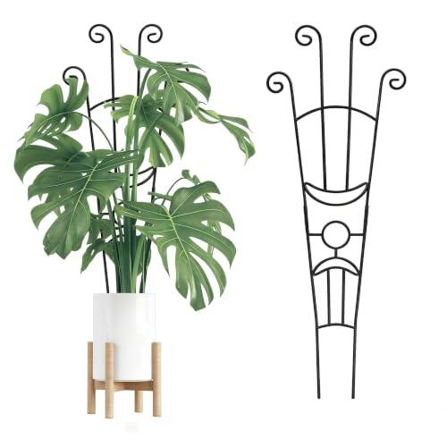 Guía definitiva para el soporte y cuidado de plantas en maceta con enrejados extensibles