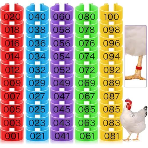 Cómo organizar tu gallinero eficazmente con anillas de identificación para aves