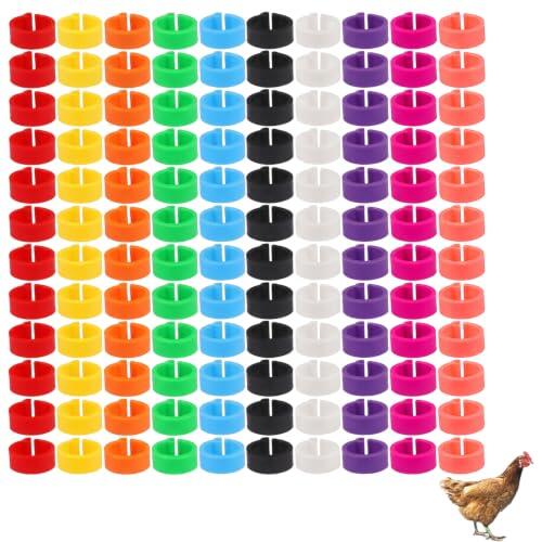 Guía Completa para la Identificación y Marcaje de Aves en Granjas y Criaderos