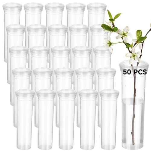 Guía práctica de tubos de agua para flores: conservación y esquejes