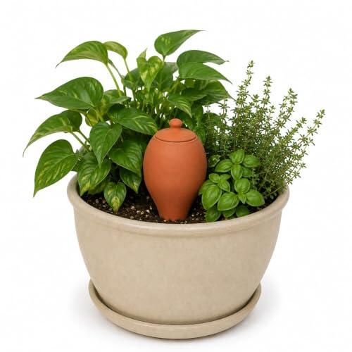 El renacimiento del riego por olla de barro: eficiencia milenaria para la jardinería moderna