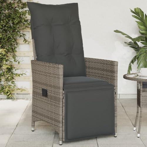 Cervaline Sillón reclinable de jardín con Cojines ratán sintético Gris,10.6kg-365661