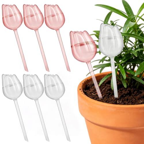 Guía técnica sobre las esferas de autorriego para plantas: características y funcionamiento