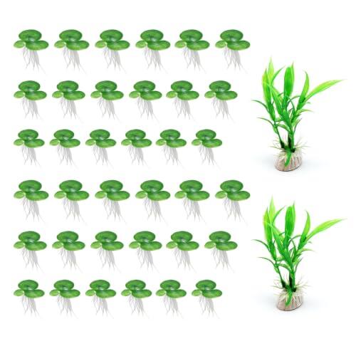 CVFRTT 36 Mini Lentejas De Agua, 2 Algas Simuladas, Accesorios De Decoración para Acuarios Y Acuarios, Adecuados para Tazones De Agua, Estanques Y Otros Diseños De Paisajes Acuáticos.