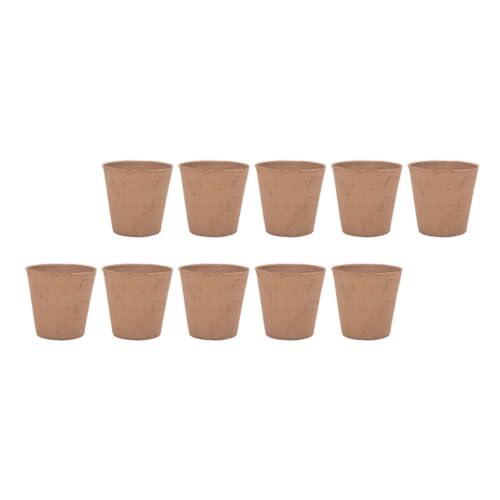 Guía práctica para la germinación sostenible con macetas de pulpa