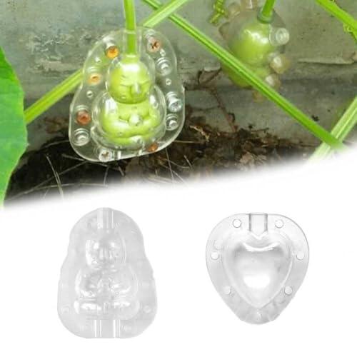 Cultiva frutas con formas geométricas: diseño y funcionalidad en el jardín