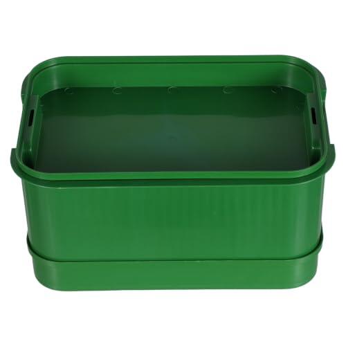 Guía Completa para el Cultivo Doméstico de Brotes con la Bandeja TOYANDONA