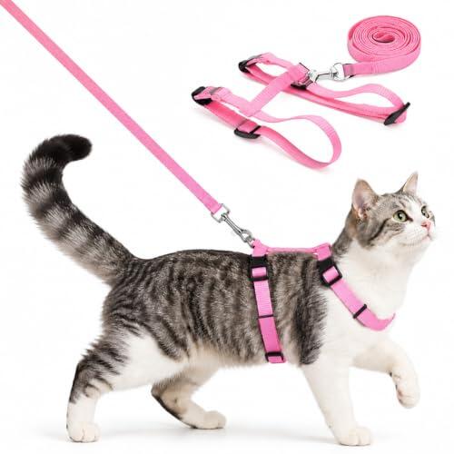 Guía Definitiva para Elegir el Arnés Ideal para tu Gato